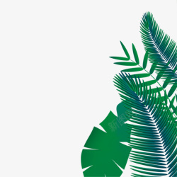 水墨画树叶热带雨林植物手绘边框高清图片