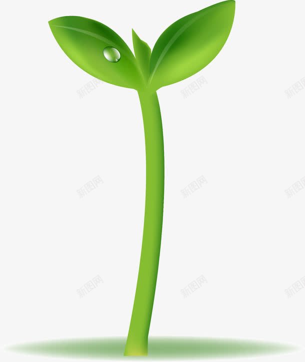 绿色小树苗png免抠素材_新图网 https://ixintu.com 叶子 大树 小树 成长过程 新芽 树 树木 树苗 植物 绿色 绿色植物 茁壮成长