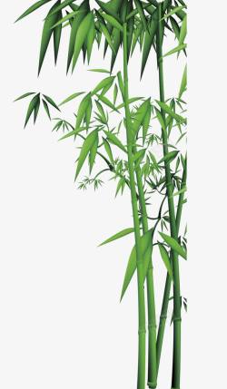 富贵平安绿色竹子高清图片