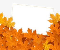 多彩树叶衬托秋天高清图片