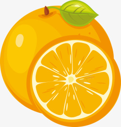 切开的金桔切开的橙子图高清图片