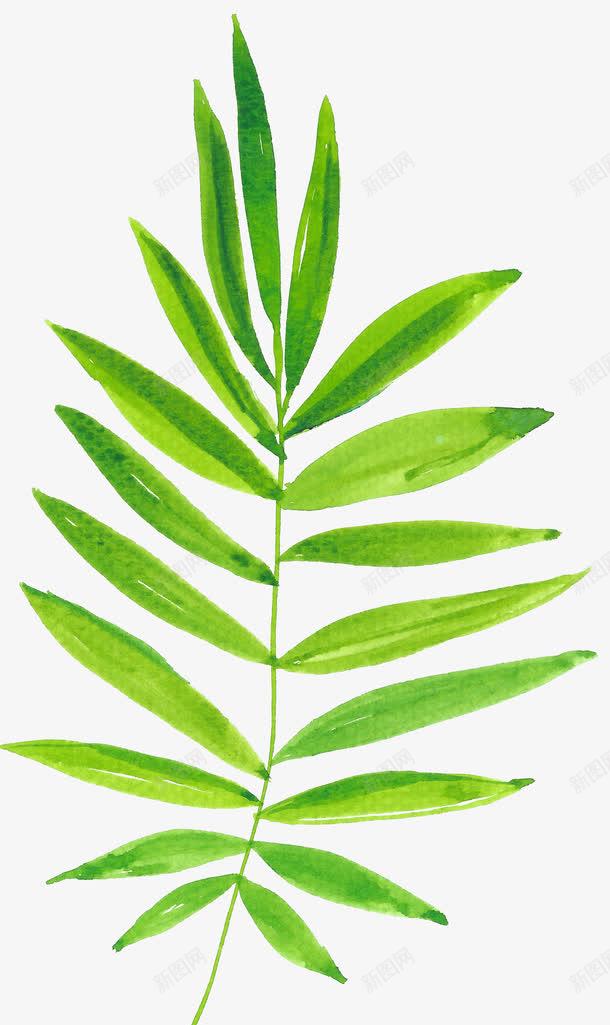 树叶png免抠素材_新图网 https://ixintu.com 叶子 手绘 树叶纹理 水彩 绿色
