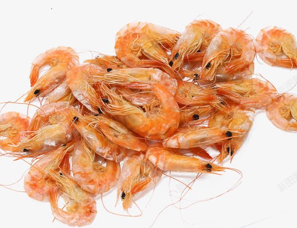 一堆美味的虾干png免抠素材_新图网 https://ixintu.com 海鲜 美味 美食 虾干 食物