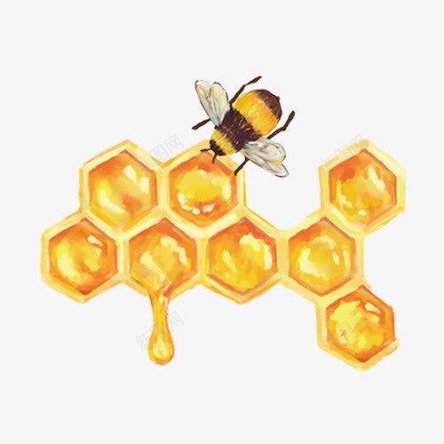 卡通手绘蜜蜂与蜂蜜png免抠素材_新图网 https://ixintu.com 动物 卡通 可爱 手绘 简约 蜂类 蜂蜜 蜜蜂 食物