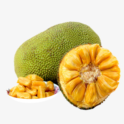 菠萝蜜透明PNG素材好吃的菠萝蜜水果高清图片