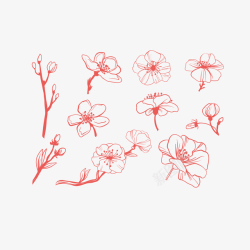 线条夹子与植物手绘简约线条腊梅高清图片