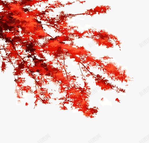 红色的枫叶png免抠素材_新图网 https://ixintu.com 枫叶 树枝 秋季 红火 红色