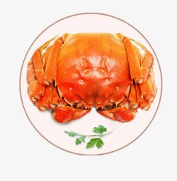 绿色生鲜盘子里的大闸蟹高清图片