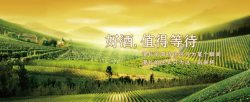 千珠庄园干红葡萄酒红酒背景高清图片