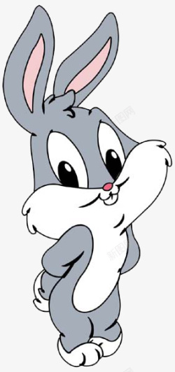 灰色的兔子灰色兔子高清图片