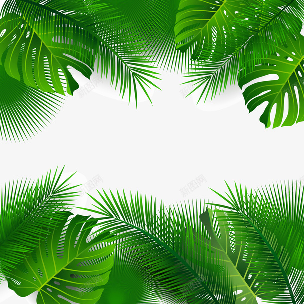 创意棕榈树叶框架矢量图ai免抠素材_新图网 https://ixintu.com 创意 卡通 植物设计 绿色 边框设计 矢量图