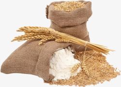 小麦矢量图片小麦稻谷片背景高清图片