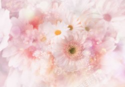 粉色车梦幻唯美鲜花背景高清图片