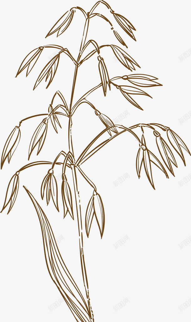 燕麦农作物手绘图png免抠素材_新图网 https://ixintu.com 农作物 农作物麦子 卡通麦子 小麦 手绘麦子 燕麦 燕麦手绘 矢量麦子 粮食 谷物 食物 麦子 麦子矢量图
