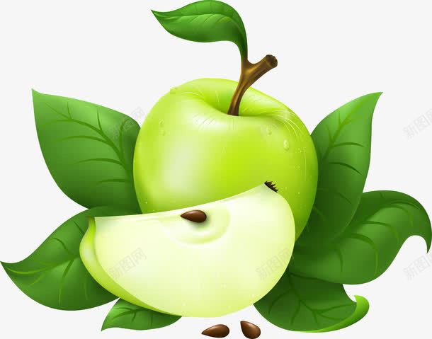 手绘青苹果剖面png免抠素材_新图网 https://ixintu.com 剖面 苹果 设计