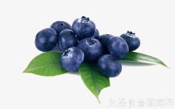 做成蓝莓干之前蓝莓高清图片