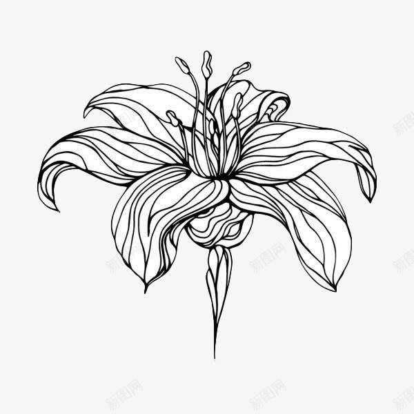 黑色线描花卉图标图标免费下载-图标7NSgekqee-新图网
