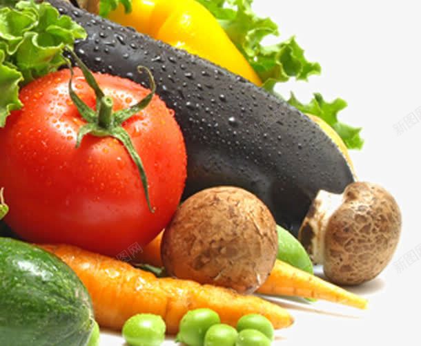 西红柿茄子香菇png免抠素材_新图网 https://ixintu.com 新鲜蔬菜 素菜 美味蔬菜 蔬菜 餐饮美食