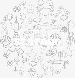 龙虾贝壳手绘海洋动物高清图片