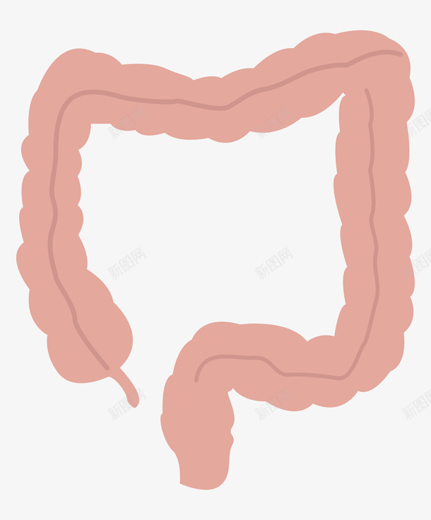粉红色手绘的人体器官png免抠素材_新图网 https://ixintu.com 人体器官 动漫动画 卡通手绘 器官效果图 大肠 装饰图
