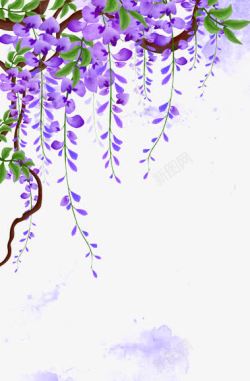 藤蔓装饰动作紫藤花藤蔓高清图片