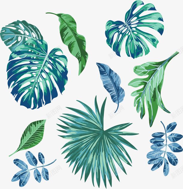 手绘的叶子png免抠素材_新图网 https://ixintu.com PNG图形 PNG装饰 手绘 植物 花叶