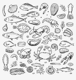 海虾设计各种海鲜类食物高清图片