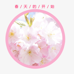 春天粉色的花朵艺术字素材