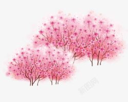 一大片樱花樱花树高清图片