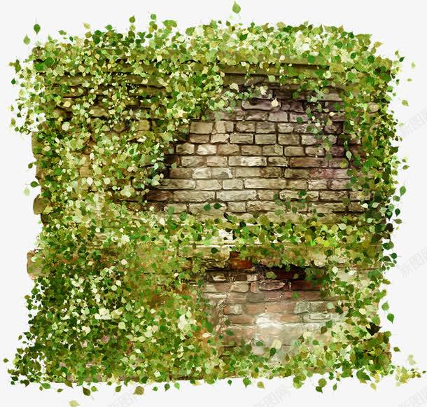 满墙的绿藤png免抠素材_新图网 https://ixintu.com 植物 爬山虎 绿色 隔壁