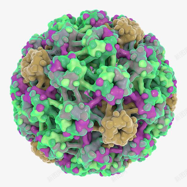 癌细胞球体png免抠素材_新图网 https://ixintu.com 彩色球体癌细胞 病菌 癌症 癌细胞 素材 细胞 美图
