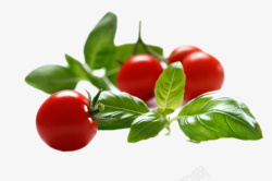 樱桃小番茄实物带叶子红色樱桃番茄高清图片