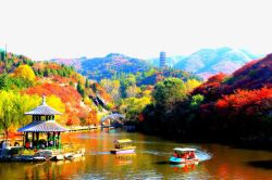 旅游摄影秋天的红叶谷高清图片