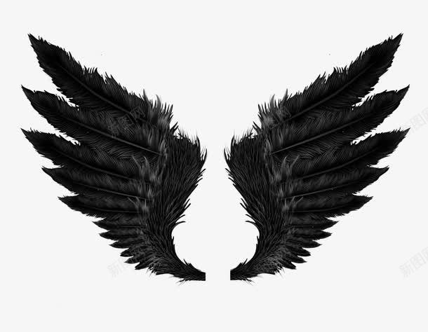 黑色翅膀png免抠素材_新图网 https://ixintu.com 一对翅膀 产品实物 暗黑系 黑色羽毛翅膀