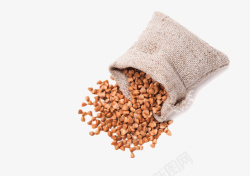 粮食袋子袋子里的苦荞麦杂粮高清图片