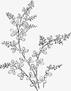 莲花装饰设计手绘图案手绘装饰线描植物图案矢量图高清图片