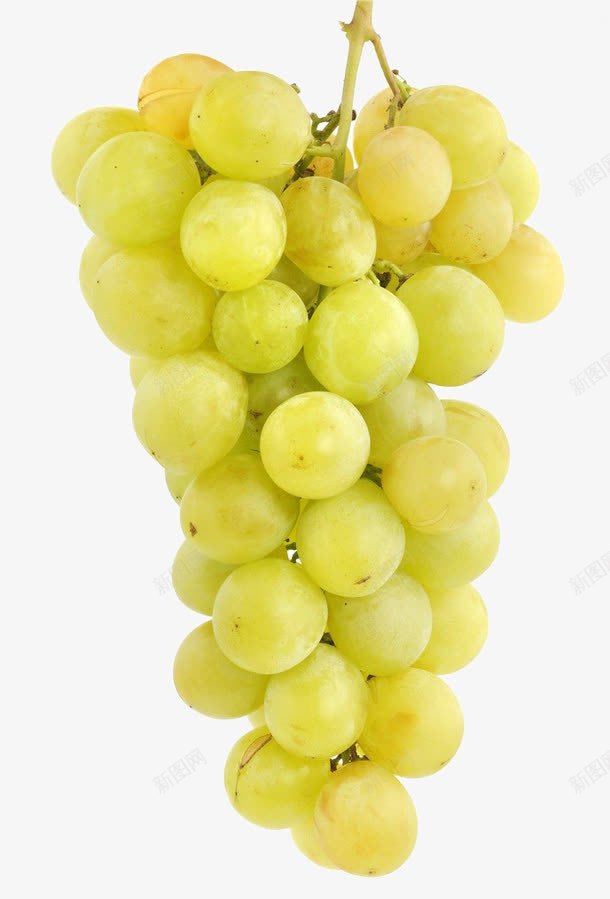 一串青提png免抠素材_新图网 https://ixintu.com 一串青提 实物 成熟 新鲜水果 热带水果 绿色 葡萄