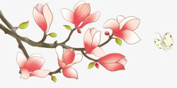兰花图案砂锅手绘装饰鲜花花枝高清图片