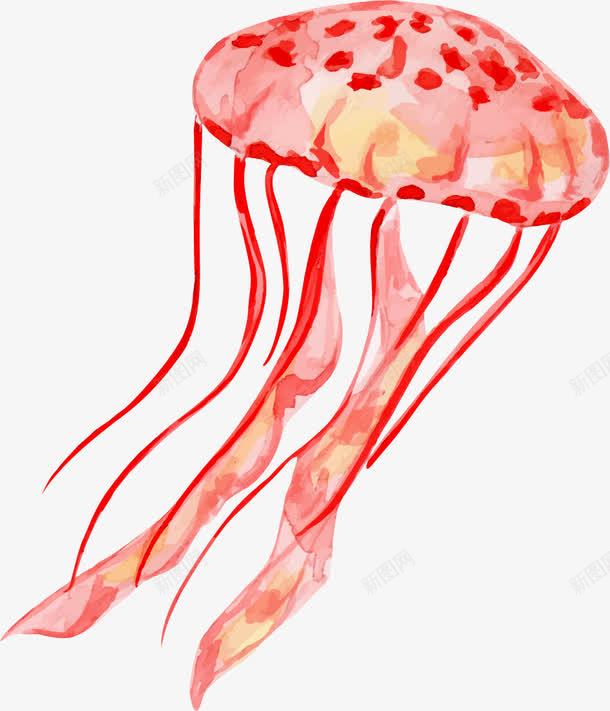 海洋生物png免抠素材_新图网 https://ixintu.com 彩绘 彩色水母 手绘 插画 水彩 水母 海洋生物 简易彩绘