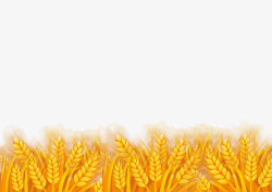 小麦田金黄小麦麦田元素高清图片