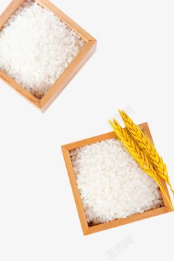 农场大米盒子里的大米高清图片