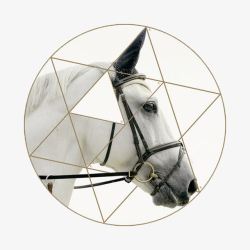 达芬奇古典雅致马头装饰画高清图片