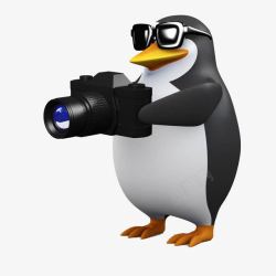 瞄准拿着相机的企鹅高清图片