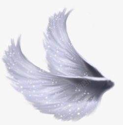 银色翅膀手绘翅膀高清图片