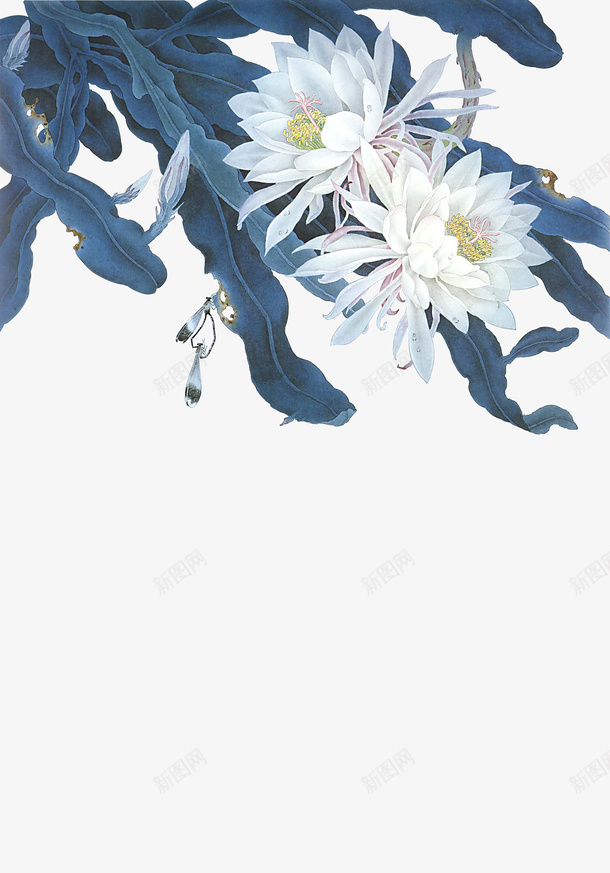 卡通手绘美丽的昙花png免抠素材_新图网 https://ixintu.com 创意 动漫动画 卡通手绘 简约 绿叶 美丽的昙花