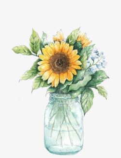 透明花瓶中的竹叶花瓶中的向日葵高清图片