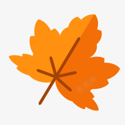 金秋树叶一片扁平化的枫叶高清图片