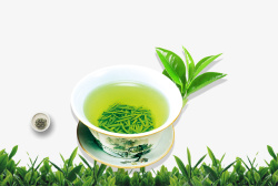 新茶海报素材绿色清新泡茶插画高清图片