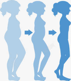 女性肥胖减肥对比矢量图素材