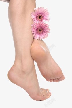 抱腿女人两腿夹着的花朵的高清图片